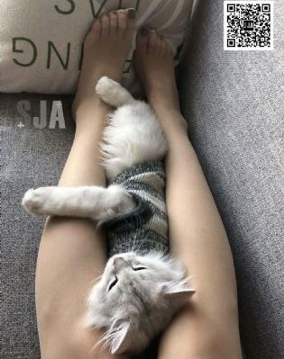 免费国产a国产片高清不卡_高清手机在线看
